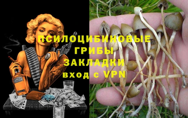 молекула духа Нефтегорск